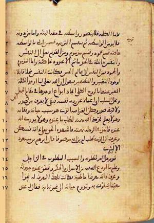 futmak.com - Meccan Revelations - page 445 - from Volume 2 from Konya manuscript