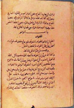 futmak.com - Meccan Revelations - page 1455 - from Volume 5 from Konya manuscript