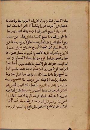 futmak.com - Meccan Revelations - page 6401 - from Volume 21 from Konya manuscript