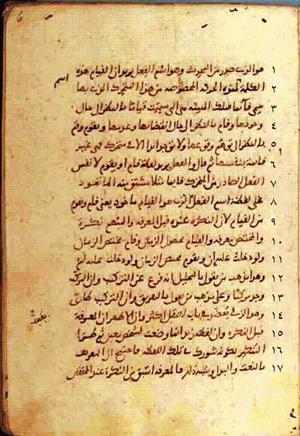 futmak.com - Meccan Revelations - Page 332 from Konya manuscript