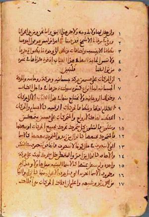 futmak.com - Meccan Revelations - Page 333 from Konya manuscript
