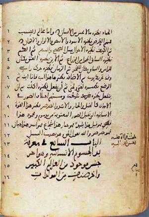 futmak.com - Meccan Revelations - Page 475 from Konya manuscript