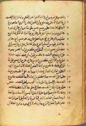 futmak.com - Meccan Revelations - Page 491 from Konya manuscript