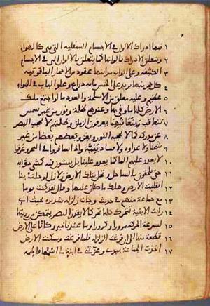 futmak.com - Meccan Revelations - Page 505 from Konya manuscript