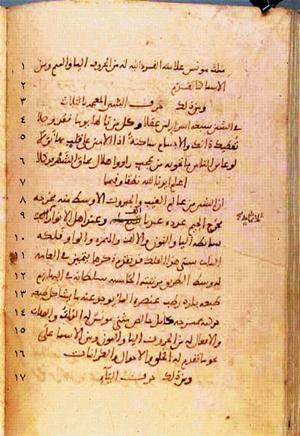 futmak.com - Meccan Revelations - Page 259 from Konya manuscript