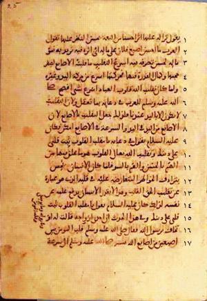 futmak.com - Meccan Revelations - Page 374 from Konya manuscript