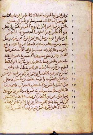 futmak.com - Meccan Revelations - Page 741 from Konya manuscript