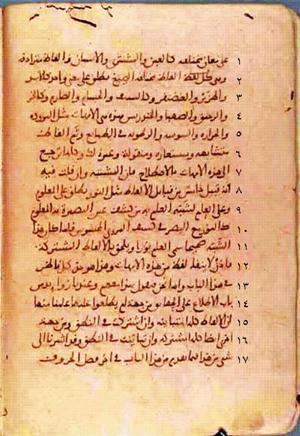 futmak.com - Meccan Revelations - Page 341 from Konya manuscript