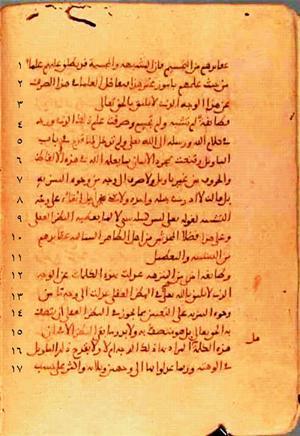 futmak.com - Meccan Revelations - Page 343 from Konya manuscript