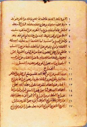 futmak.com - Meccan Revelations - Page 383 from Konya manuscript